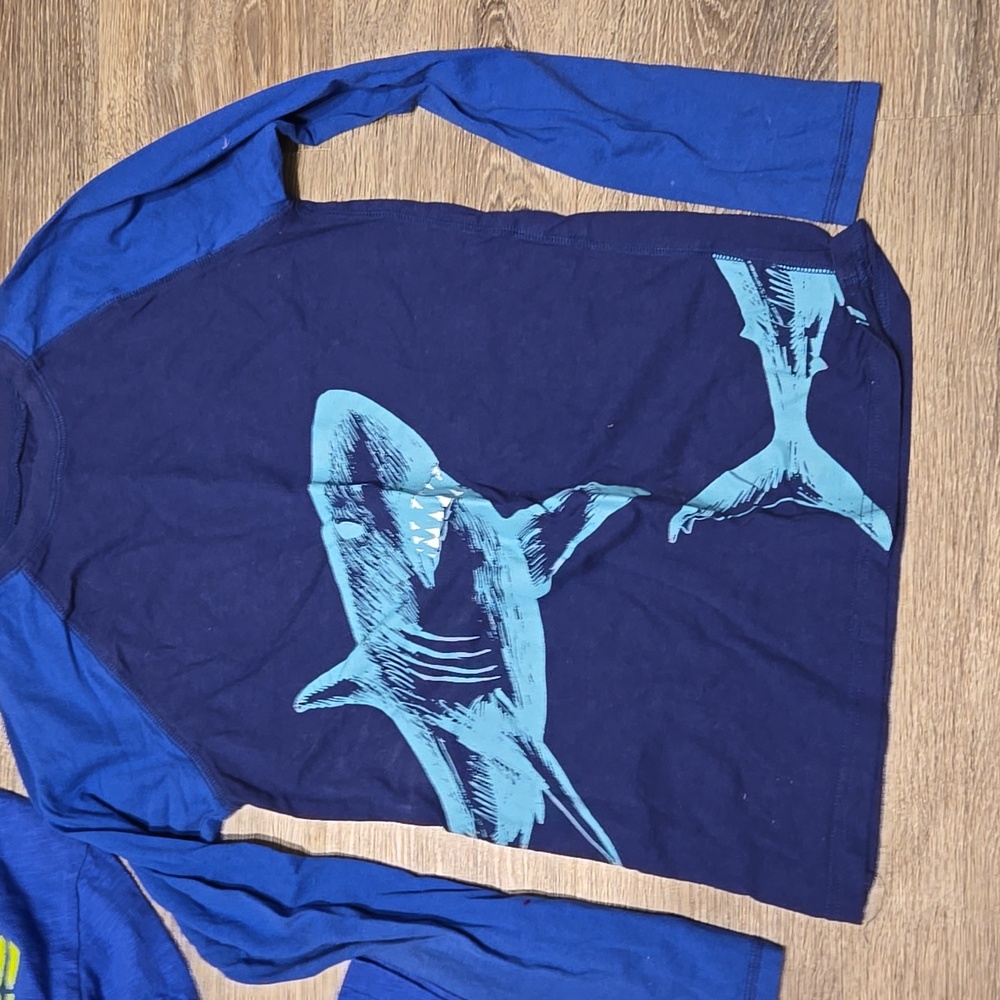 Lot Of 2 LS Blue Graphic Tees Sz XL/12 - Picture 4 of 5